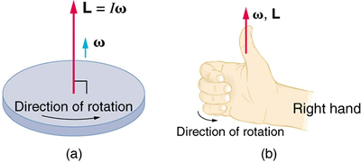 An example of how the R.R.H.R. would be carried out with respect to an object in centripetal motion as viewed from the side, in this case producing the positive y-direction. Courtesy of Libretexts.